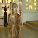 건강과 성 박물관 이미지