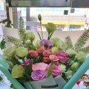 그린카클리닉 이미지