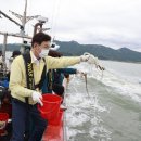 보성목장 이미지