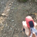 괴곡성벽길 | 제천자드락길 6코스 괴곡성벽길 트레킹 후기