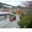 명륜자연유치원 이미지