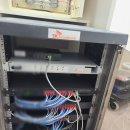 동탄정형외과의원 이미지