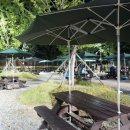 문수힐링피크닉장 이미지