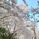길동무