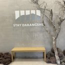 스테이다랑쉬 | 제주도 애견동반 동쪽 가성비 숙소 추천 스테이다랑쉬 내돈내산 솔직후기