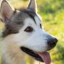 베이지동물병원 이미지