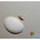 리더스모텔 이미지