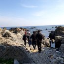 제56회 화지문화 탐방 감포 해파랑12길 산책 후 (제6차 정기총회) ~2025,12,10,~ 이미지