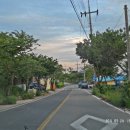 대교횟집 이미지