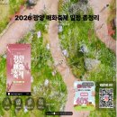 56 | 2026 광양 매화축제 일정 총정리(+숙소,맛집,주차장)