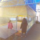 사나래카라반캠핑 이미지