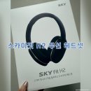 쿠팡 스카이핏 헤드셋 2주 사용후기 :: 가성비템으로 나만의 세상을 만들다 휘뚤마뚤 운동용 헤드셋