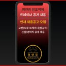 뉴텍 레그익스텐션,어시스트 풀업, 렉스코 체스트프레스, IKK 백익스텐션, 메디신볼 세트 팝니다 이미지