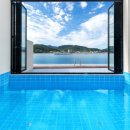 파레사애견풀빌라 이미지