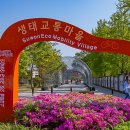 수원-0394 Daum카페