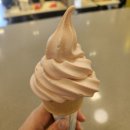 동백중앙로 R-4 | 애도와 현생은 공존한다,, 어느 일요일 일상