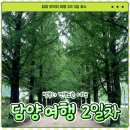 담양 Day 2｜창평국밥, 카페하녹, 메타세콰이어 가로수길, 메타프로방스, 구가네META 밥상
