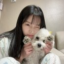 우아지다붙임머리