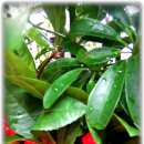 마미안여성병원 이미지