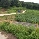 원산보건진료소 이미지