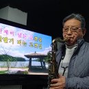 감나무골 Daum카페