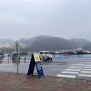 타이거벨리 | 3월 평일 비오는날 에버랜드 다녀온 후기(판다월드, 타이거밸리, 워킹사파리, 놀이기구, 주차 등)