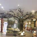 도쿄하나 등촌점 이미지