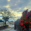 건강마당공원 이미지