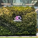 남구-50 이미지
