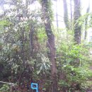 제주 올레길 6코스 이미지