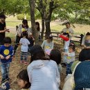 서구-01-100 이미지