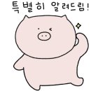 판교매일식당 정자직영점 이미지