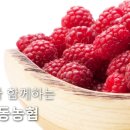 상동농장 이미지