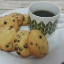 리틀태권도 이미지