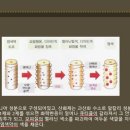 헤어실무 이미지