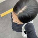 명승참새와방앗간 이미지