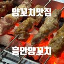 양심장 | [부산 거제동 맛집] 다양한 부위를 맛 볼수 있는 흥안양꼬치