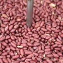 진동시장 이미지