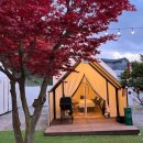 힐스타운 동물병원 이미지