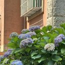 조은꽃식물원 이미지