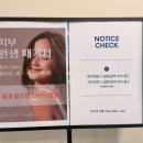 바르델