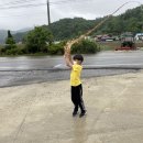 진안초등학교 이미지