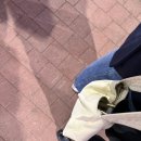 허당국시 | 11월