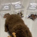 혼자멍냥 이미지