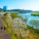 갤러리 진심 1949 이미지