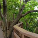 부산역(03063) 이미지