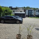 코다남 | 계양역 근처 카페 맛집 다남 818 갤러리 카페