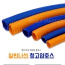 백두공구 이미지