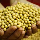 동의보감한의원 이미지