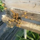 동원농장 이미지